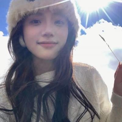 西部战线